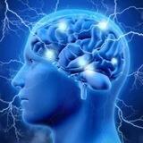 Royal silence mind