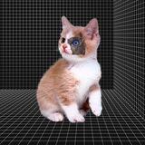 Kitties.Ai