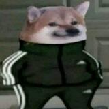 Где шутка?