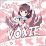 VOXIE MOD SETUP