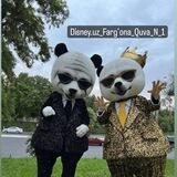 Disney.uz_Fargʻona_Quva_N_1