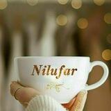 Sehrli so‘zlar.Nilufar Xasanova