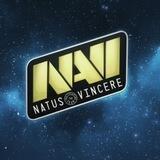 NaVi fans