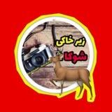 زیرخاکی شوکا 🦌