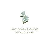روحٌ وريـِحان🤍.