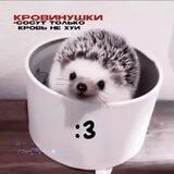 кровавые🩸