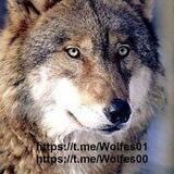 Wolfes00