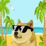 Summer Doge Official