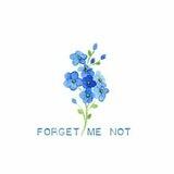 Nezabudka_forget_me_not