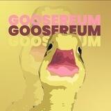 GoosEreum BSC 0% TAX | 🌎 COMMUNITY TOKEN