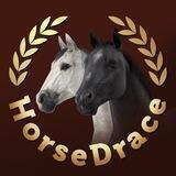 HorseDrace Entry Portal