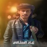 الشاعر زياد السنافي