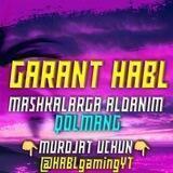GARANT HABL GAMING