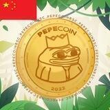 pepe cn🇨🇳