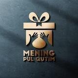 MENING PUL QUTIM