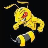 Mad Wasp (WASP)