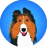 Lassie Inu