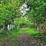 🌿حسِ خوبِ زندگی🌿