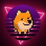 Retro Doge portal