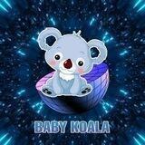 Baby Koala LP BURN AND RENOUNCED 18K MCAP LAST PROJECT