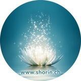 Shorin