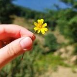 قلب نارنجی یک دیوانه..✍
