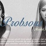 𖣂 premier terrific "probsous"