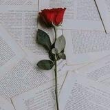 ھہمـسٰٰٓ آلمـشِٰہٰٰآۤ؏ـرٰ 💛🖇️