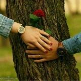 💝 رویای عشق 💝