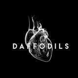 dᴀffᴏdils