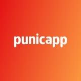 Punicapp | Разработка мобильных приложений