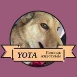 Yota_love2022