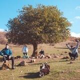 Походы Тбилиси🇬🇪