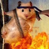 Trading Hamster Chat