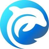 dolphex.io Chat