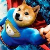 Super Doge Portal