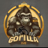 Gorilla_djo