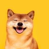 CRYPTOHUG 🍋