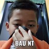 tebak ava