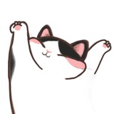 |Аниме|K-POP|
