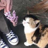 ?. けいあな