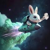 RABBIT INU [ 🐰🐶Renounced ]