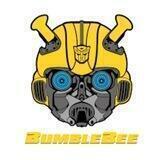 Bumblebee Coin