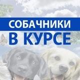 Собачники | В курсе 🐶 👉 Собаки, пёсики, собакены 🐕