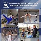 Школа спортивной гимнастики Андрея Перевозникова