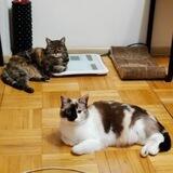 Mura and Varya's daily photos