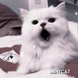 ♡ :: ʍинᴛᴋ϶ᴛ