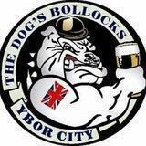 Dogz Bollox Right Wing News (Official)