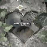 ˖ ࣪ заnах сuренu . . ? !