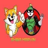 SHIBA MARVIN. | SHIN🚀